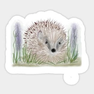 Wild Hedgehog Sticker